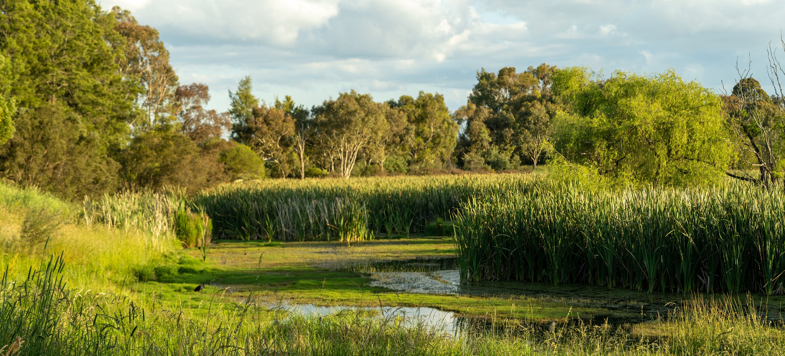 Planning and Environment Court of Queensland refuses approval given for a development to take full advantage of the "uplift provision" under the Gold Coast City Plan Strategic Framework