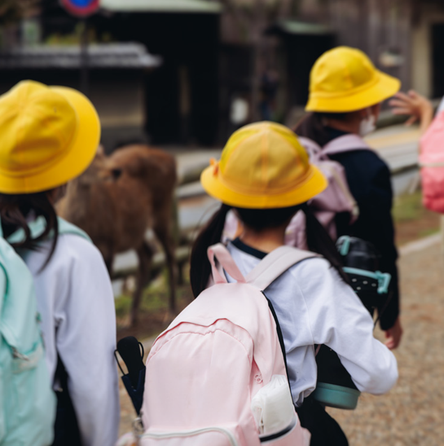 Risky business: Lessons in risk management on excursions, tours or other extracurricular activities