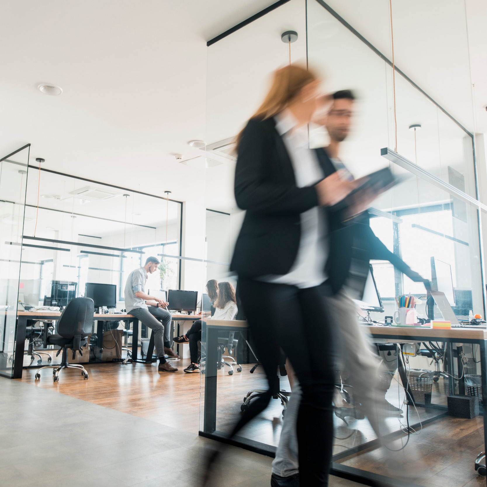 Does a breach of the State of Queensland's Model Litigant Principles confer a private right of action?