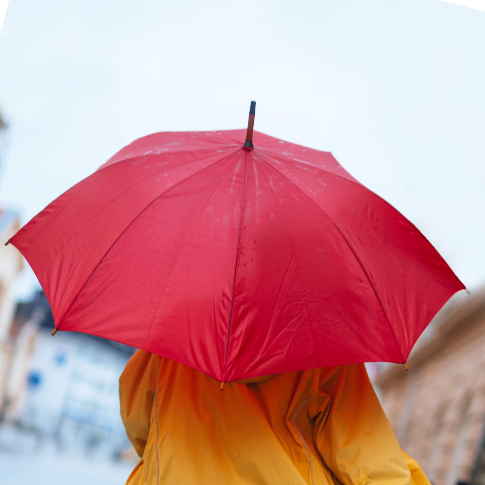 Court of appeal overturns judgment in Rosata v City of Melbourne and Anor (Ruling) [2023] VCC 630