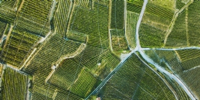 No extension: Planning and Environment Court of Queensland has dismissed an application to extend the currency period of a development approval